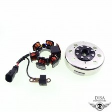 Lichtmaschine + Polrad für Piaggio NRG Power Gilera Runner 50 Vespa LX 584526 