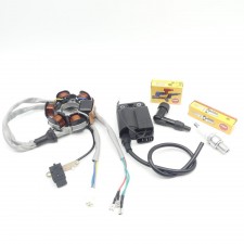 Lichtmaschine + CDI Zündspule + Zündkerze + Stecker Piaggio NRG MC2 TPH 