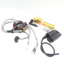 Lichtmaschine + CDI Zündspule + Zündkerze + Stecker für Piaggio Sfera NSL 50 