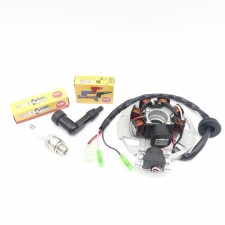 Lichtmaschine + Zündkerze + Stecker für Yamaha Aerox und MBK Nitro 