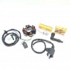Lichtmaschine + Zündspule + Zündkerze + Kerzenstecker Peugeot Speedfight 1 2 * 