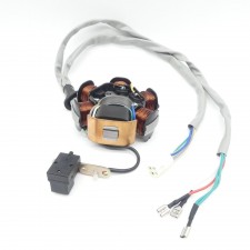 Zündung Lichtmaschine für Piaggio Zip SSL  