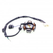 Lichtmaschine Zündung für Honda Bali SJ 50 Dio 50 