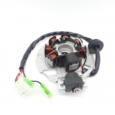 Zündung Lichtmaschine für Yamaha Aerox und MBK Nitro  