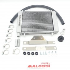 Malossi MHR Kühler Wasserkühler für Piaggio Zip SP 7115506 