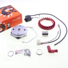 Malossi Power Racing Zündung Lichtmaschine SET für Piaggio Vespa Ciao Bravo Si 