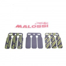 Membranplättchen Satz Malossi für Peugeot Speedifight 1 2 Kymco Honda 2-Takt 