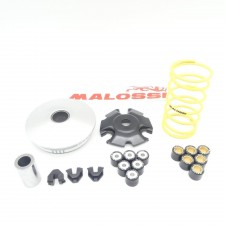 Variomatik Malossi Maxi Multivar Variator für Piaggio Vespa GTS 125 150 300 HPE 5119760 