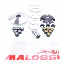 Variomatik Malossi Multivar Variator für Piaggio 125 150 Leader Motor 4-Takt 