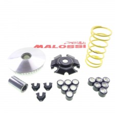 Variomatik Malossi Multivar Vario Rotax Motor Aprilia Leonardo Scarabeo 125 150 