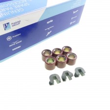 Variomatikgewichte + Gleitstücke Original für Piaggio MP3 300 Vespa GTS 300 843028,849480 