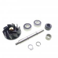 Wasserpumpe Reparatur Satz RMS für Gilera Runner 125 180 FX FXR Piaggio Hexagon 