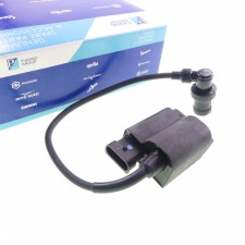 Zündspule CDI Original für Piaggio Fly Zip 2 Derbi Atlantis 4-Takt 50ccm 639986 