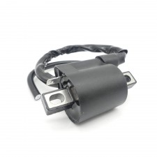 Zündspule mit Zündkabel für Yamaha Aerox und MBK Nitro  