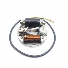 Zündung 6V 15W Lichtmaschine für Puch Maxi  