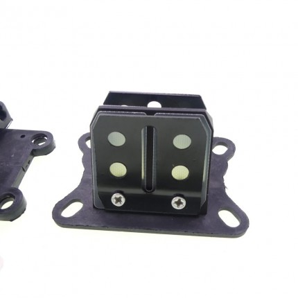 VANEZ Membranblock Ersatz Für Minarelli AM 3-6 - Aprilia, Rieju, Yamaha